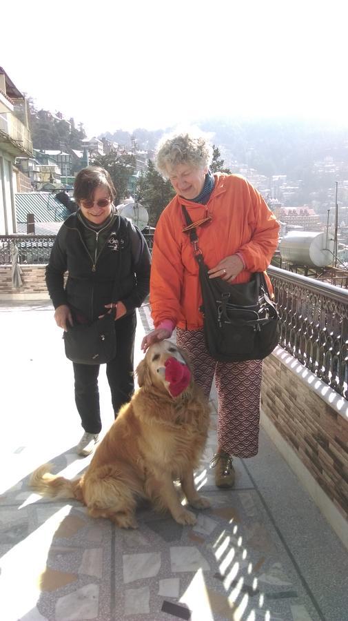 The Thistle Lodge Shimla Exterior photo